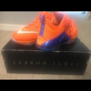 Lebron Nike Sneakers NO TRADES